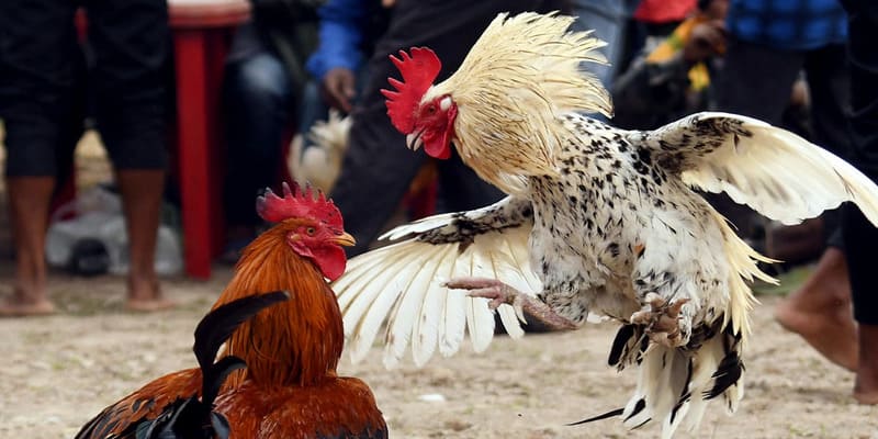 Kinh nghiệm soi kèo chuẩn xác từ cao thủ