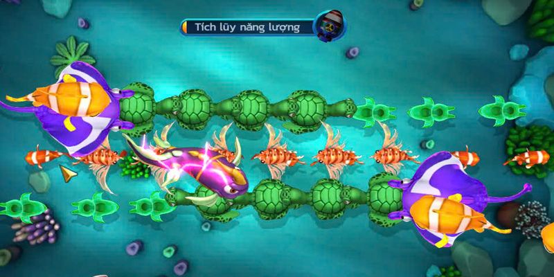 Top bí quyết chinh phục đại dương hiệu quả